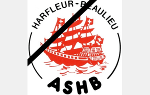 Disparition de Dominique Bellenger 😞