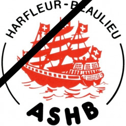 Disparition de Dominique Bellenger 😞
